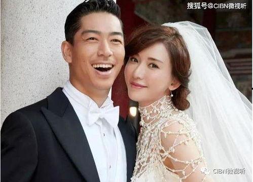 娱乐圈出轨吃瓜小说